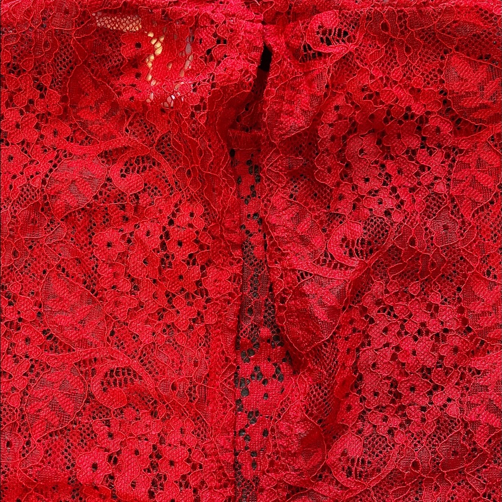 Red Laced Mesh Top - Picture 3 of 6
